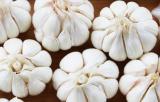 white garlic, fresh garlic